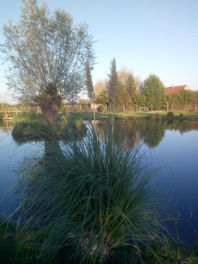Chambre Coin Nature Fromelles Exteriör bild